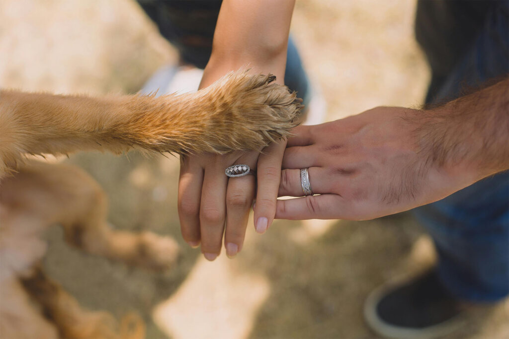 Savjeti za nezaboravno pet-friendly vjenčanje: Kako uključiti ljubimce u vaš poseban dan 1 kako ukljuciti psa u vjencanje pet friendly vjencanja vjencanja sa psom