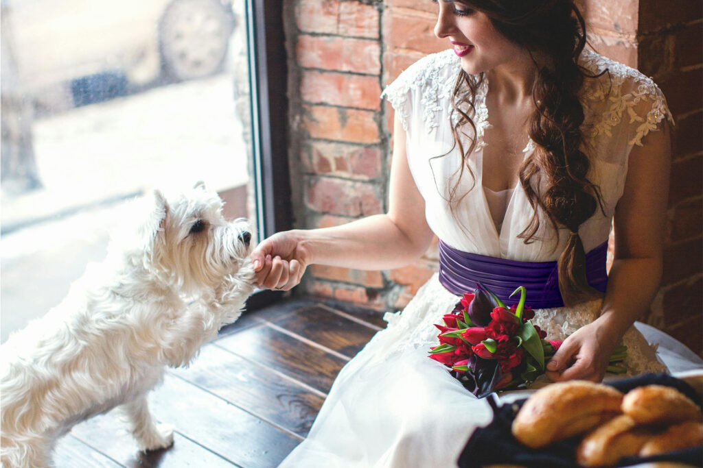Savjeti za nezaboravno pet-friendly vjenčanje: Kako uključiti ljubimce u vaš poseban dan 6 kako ukljuciti psa u vjencanje pet friendly vjencanja vjencanja sa psom 5